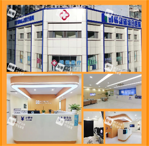 邯郸绿植医疗美容环境拼图