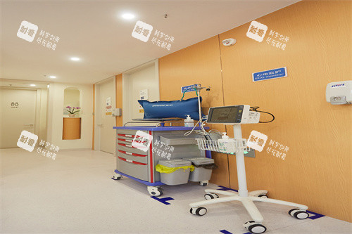 邯郸绿植医院环境