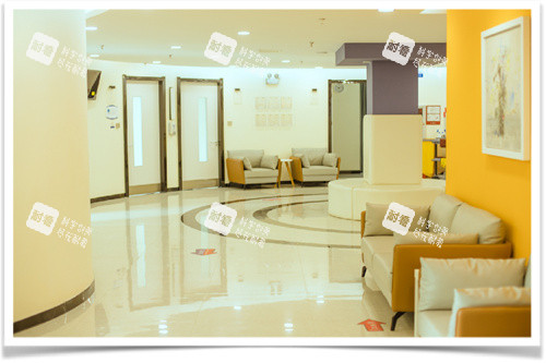 邯郸绿植医院休息区