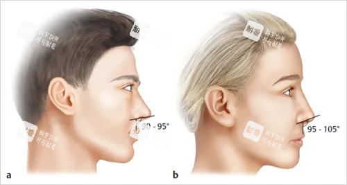 鼻子过长矫正对比