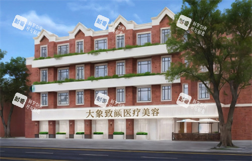 成都高新大象致颜医疗美容外观环境一览图