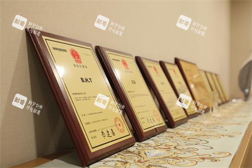 北京碧莲盛植发荣誉证书