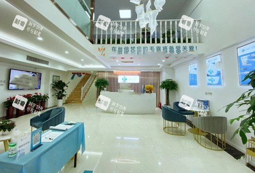 西安青禾初植发整形内部大厅环境