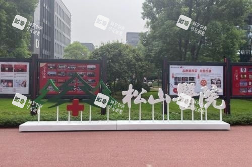 重庆松山整形院区