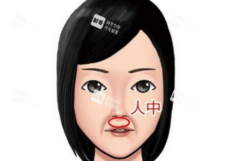 人中卡通图 人中卡通图