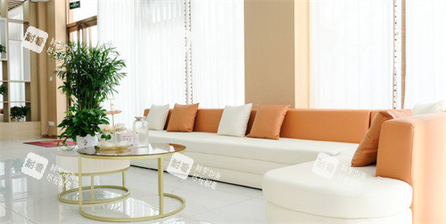 临沂真程植发沙发