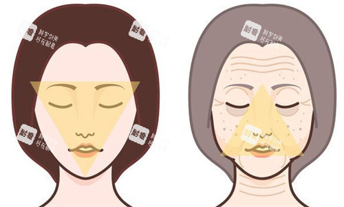 年轻与老化的皮肤 年轻与老化的皮肤