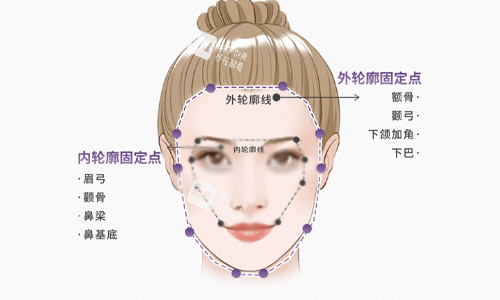 面部轮廓说明 面部轮廓说明
