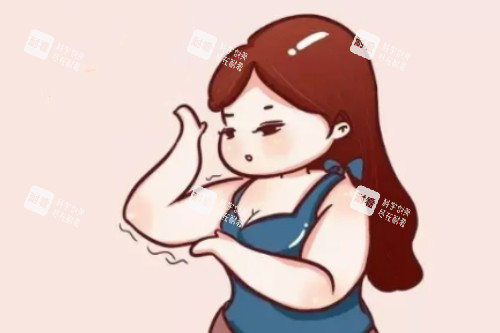 胳膊脂肪多卡通图 胳膊脂肪多卡通图