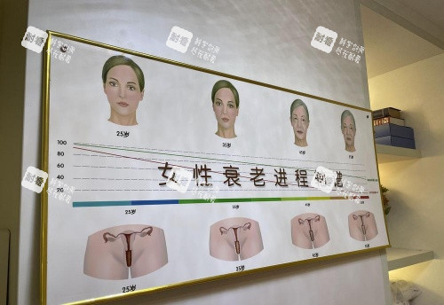 广州雪儿海蒂私密抗衰老进程轴谱示意图