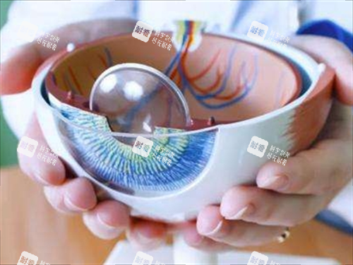 割眼角膜手术模型展示 割眼角膜手术模型展示