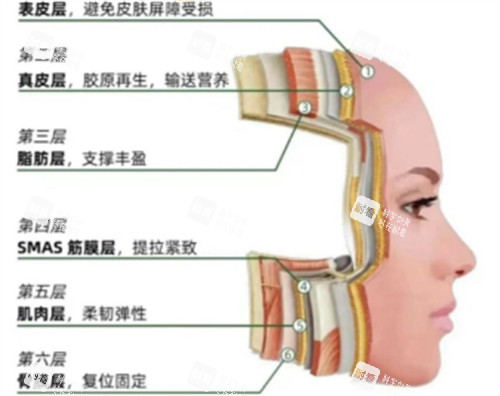 皮肤层次提升作用 皮肤层次提升作用