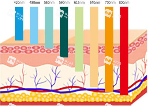 不同光波作用层次示意图 不同光波作用层次示意图