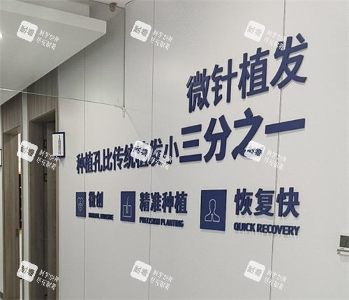 厦门大麦植发宣传墙