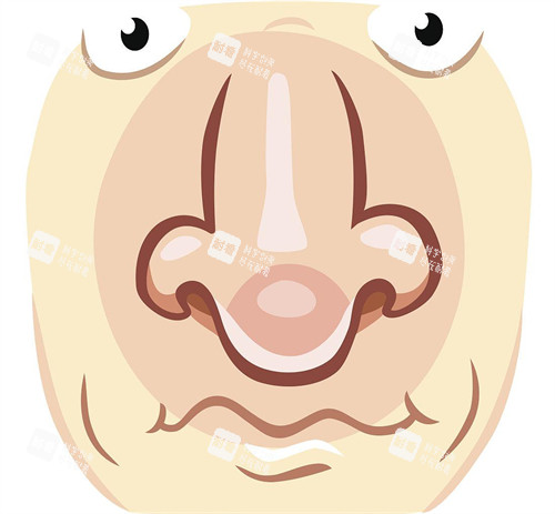 过长的鼻子需要矫正 过长的鼻子需要矫正