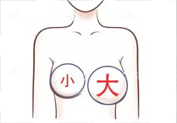 大小胸