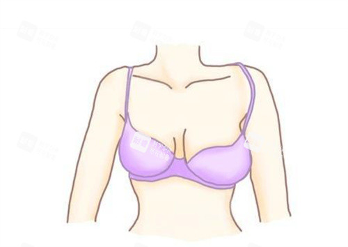 大小胸卡通图片展示