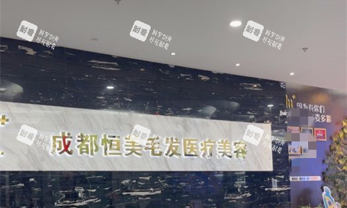 成都恒美植发logo图
