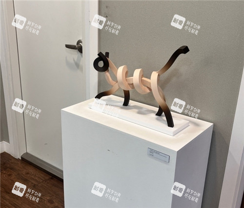 韩国elev皮肤科医院内环境