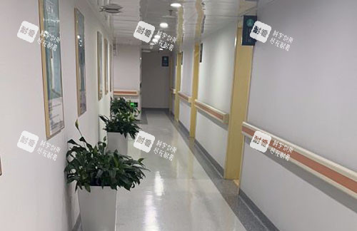 北京煤医医疗美容走廊环境图 北京煤医医疗美容走廊环境图