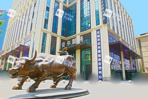 沈阳爱尔卓越眼科医院外景