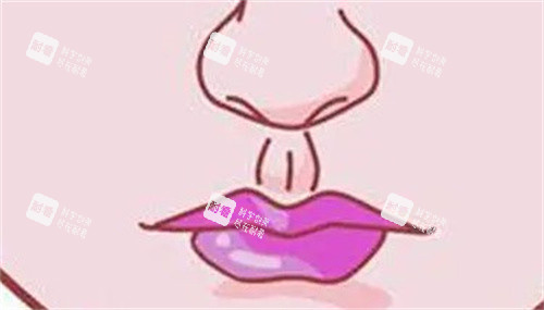 人中形态 人中形态