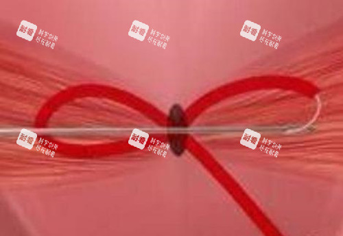 3d生物束带示意