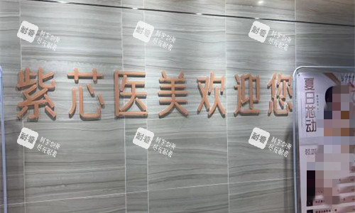 东莞紫芯医疗美容logo图 东莞紫芯医疗美容logo图