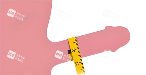 量取阴茎周长 量取阴茎周长
