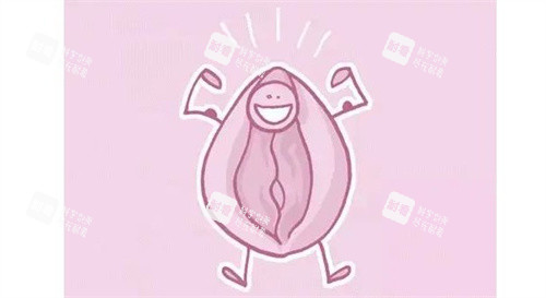 小阴唇整形手术 小阴唇整形手术