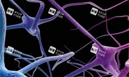 缩阴手术内部展示图 缩阴手术内部展示图