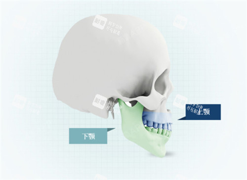 2026年韩国整形医院排名出炉！哪些机构真正值得去？避坑指南快收好！