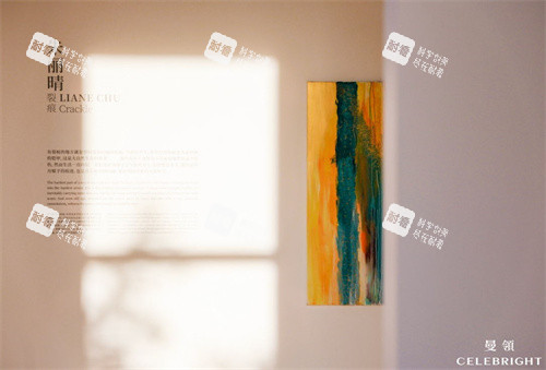 上海曼领医疗美容医院一楼展览区 上海曼领医疗美容医院一楼展览区