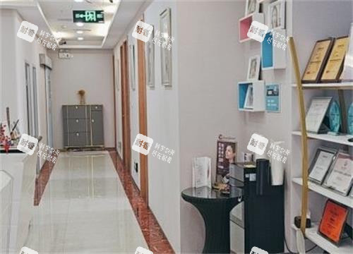 深圳丽港丽格过道区