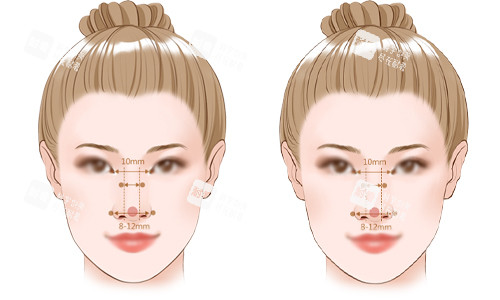 标准鼻子的比例展示