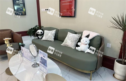 苏州华韩医疗美容医院沙发 苏州华韩医疗美容医院沙发