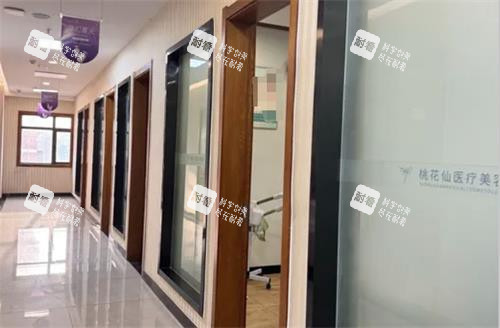 岳阳桃花仙整形过道