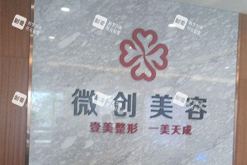 淄博壹美整形LOGO名称示意图
