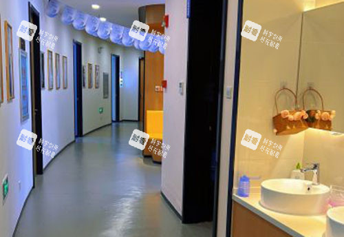 哈尔滨双燕整形走廊环境图