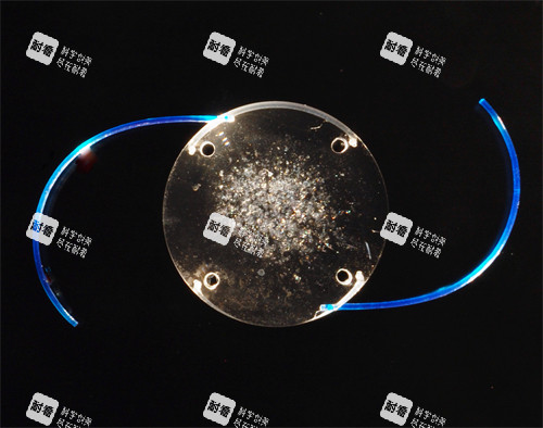 美国眼力健人工晶体照片