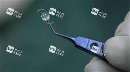 美国眼力健人工晶体图片