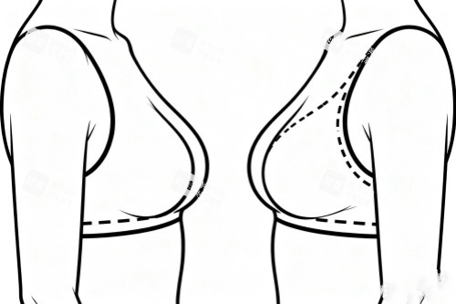 好看胸型卡通展示图