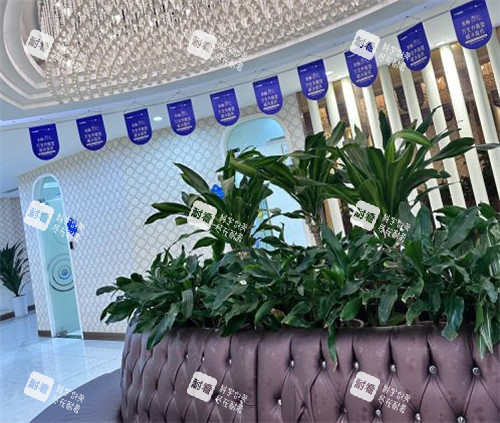 济南海峡整形大厅环境图