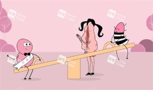 私密整形可以治疗的部位图解