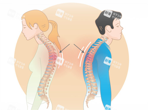 富贵包卡通图片