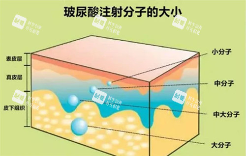 玻尿酸分子大小卡通示意图