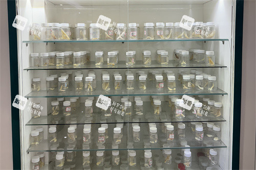 广州广大整形医院展柜