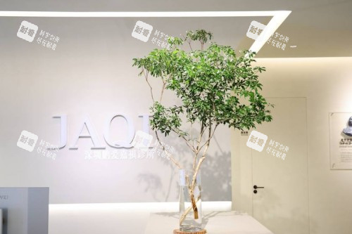 深圳鹏爱嘉祺医疗美容宣传图