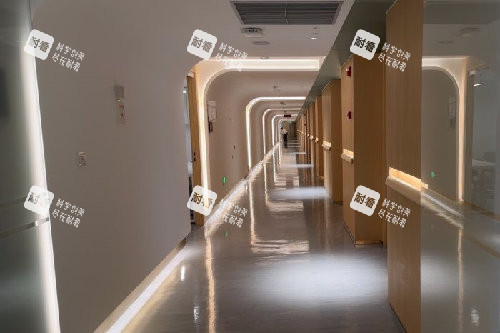 杭州艺星整形走廊图片 杭州艺星整形走廊图片