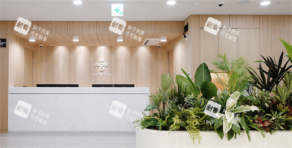 韩国济州岛NowMedi医院前台环境